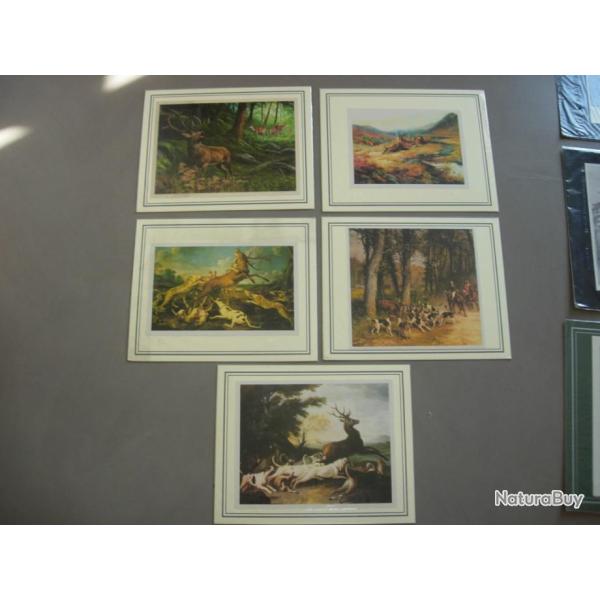 ILLUSTRATIONS ANIMALIERES