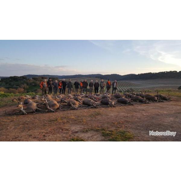 Monteria Luxe au Portugal .