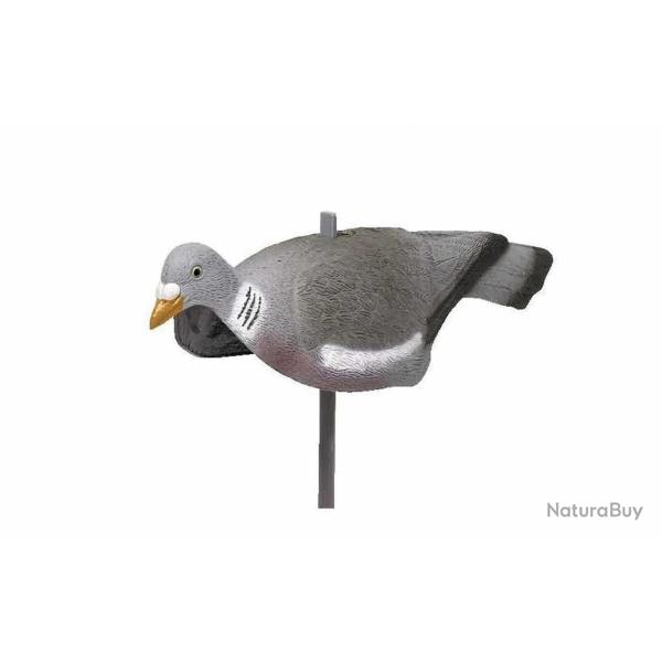 Forme de pigeon coquille