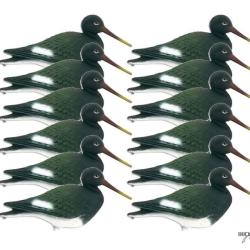 Forme de pie de mer x12