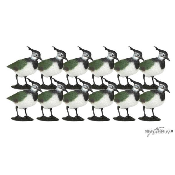 Formes de vanneau x12