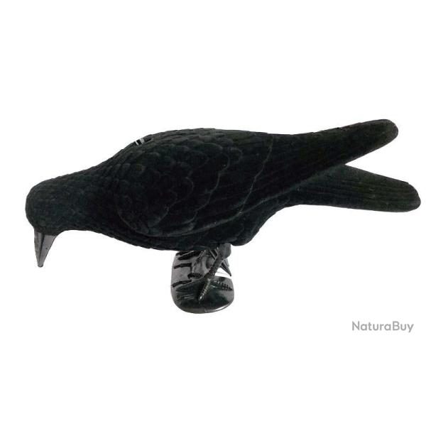 Forme de corbeau mangeur floqu�e
