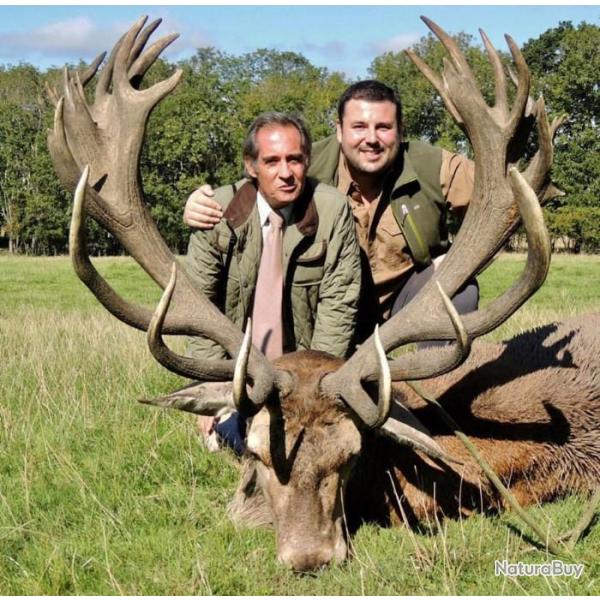 Chasse � l'approche des cerfs en Sologne .