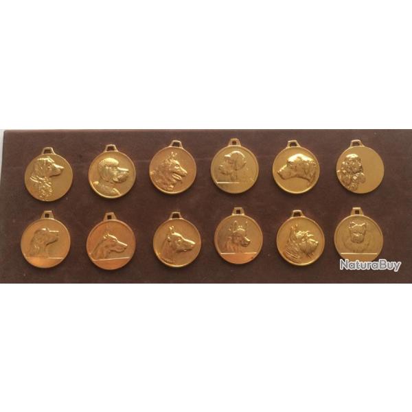 M�dailles t�tes de chiens