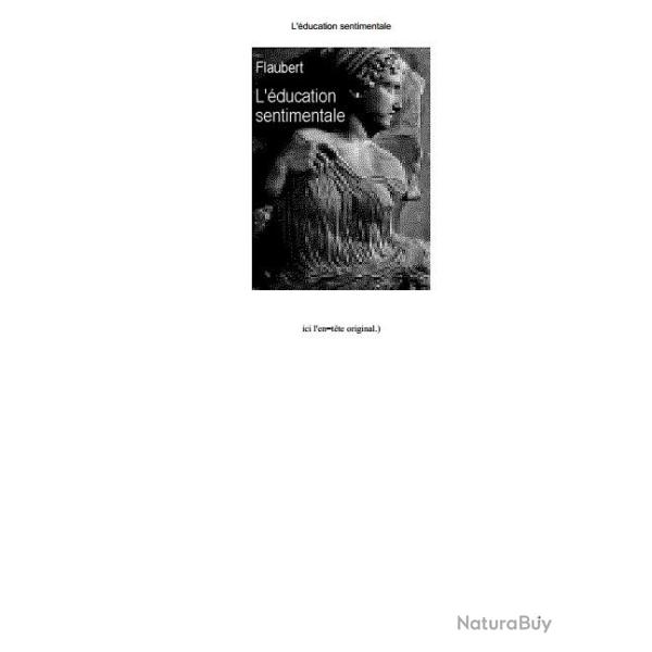 Lot Ebooks Gustave Flaubert (676 Pages)