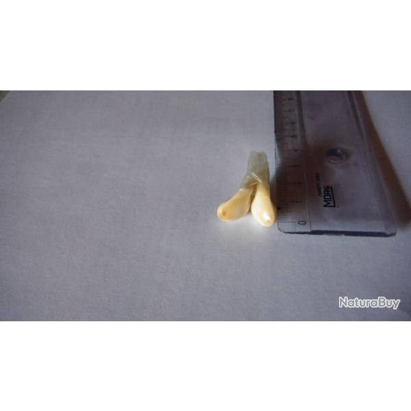 paire de fleurs de lys de cerfs du Cantal