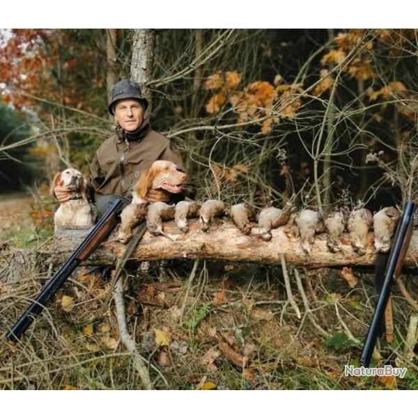 Chasse de la b�casse en Croatie : 3 jours de chasse / 4 nuits