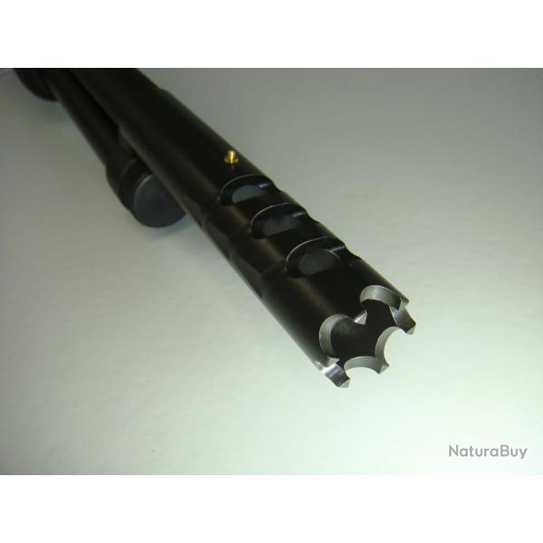 Transformation-Modification-Mise en conformit Fusil  POMPE en catgorie C - TAURUS