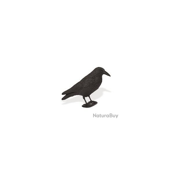 Appelant Corbeau Floqu� 1