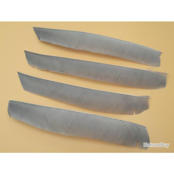 Lot de 4 Plumes Naturelles Enti�res Uni Grises
