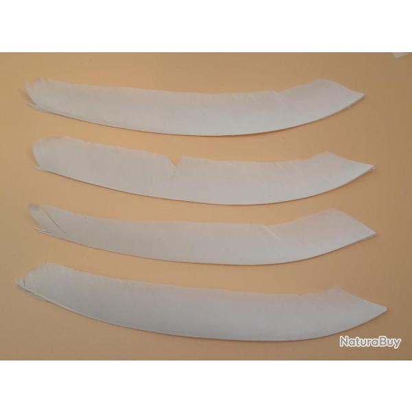 Lot de 4 Plumes Naturelles Enti�res Uni Blanche pour spiral