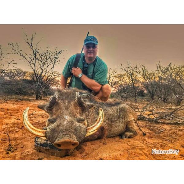 Chasse du phacoch�re dans le Limpopo / Package 7 animaux .