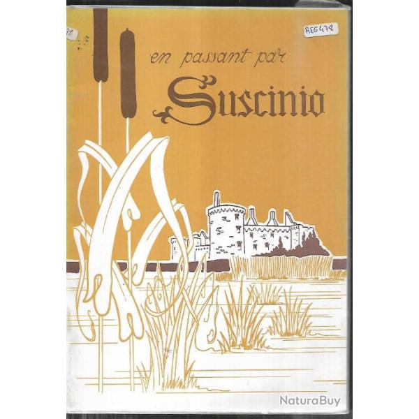 en passant par  suscinio   , morbihan