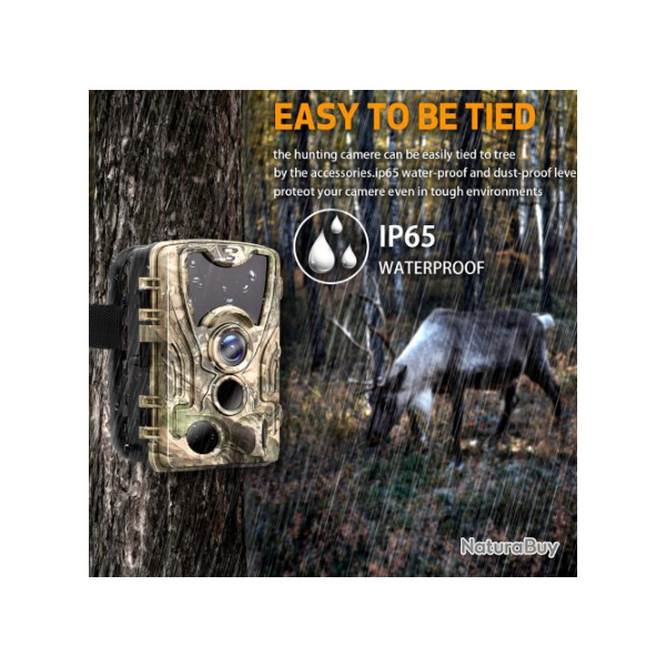 NEW Cam�ra Version nocturne HC801A 16 Megapixel 1080P  - Livraison gratuite !!