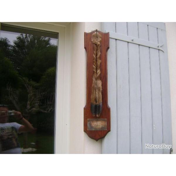 TROPHE DE CHASSE patte de cerf ,FOR�T DE LA LAIGUE
