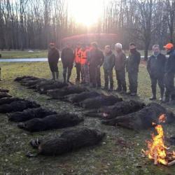 Chasse en battue sangliers en Croatie , 4 jours / 5 nuits tout compris .