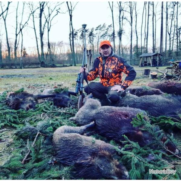 Chasse en battue sangliers en Croatie , 4 jours / 5 nuits tout compris .