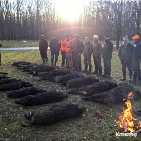 Chasse en battue sangliers en Croatie , 4 jours / 5 nuits tout compris .