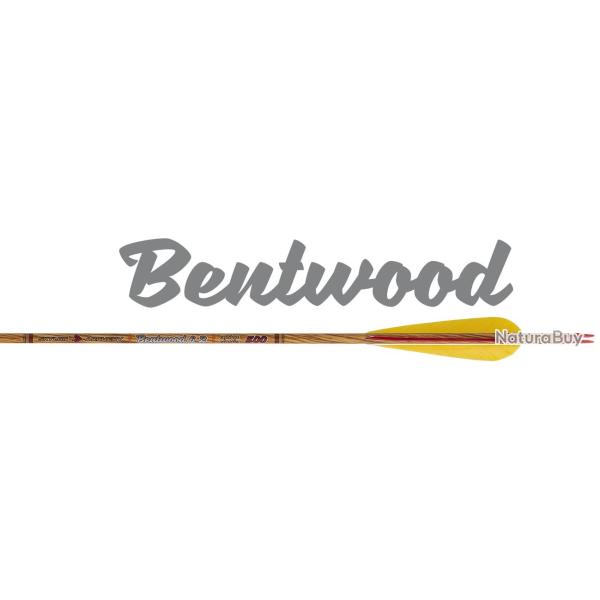 SKYLON - Fl�che Carbone BENTWOOD 6.2 500