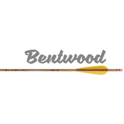 SKYLON - Fl&egrave;che Carbone BENTWOOD 6.2 300