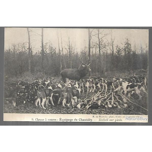 chasse � courre �quipage de chantilly hallali sur pieds