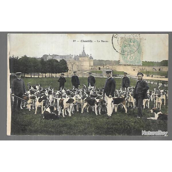 chantilly la meute , chasse � courre , v�nerie