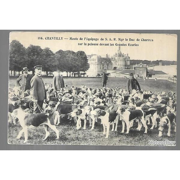 chantilly meute de l'�quipage de s.a.r.mgr le duc de chartres sur la pelo, chasse � courre , v�nerie