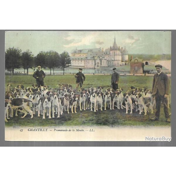 chantilly promenade de la meute , chasse � courre, �quipage, v�nerie