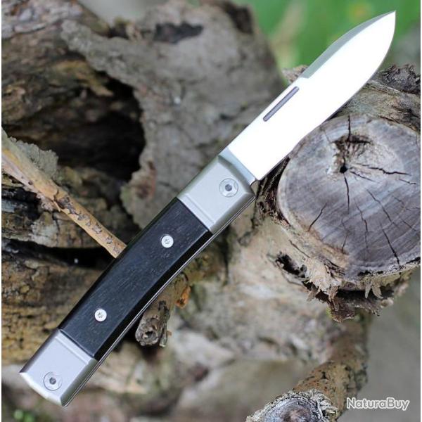 Couteau LionSteel BestMan BM2 Lame Acier M390 Manche Eb�ne/Titane Made Italy LSTBM2EB