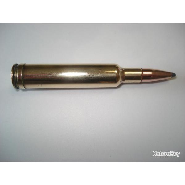 une cartouche de 270 weatherby magnum ogive demi blinde