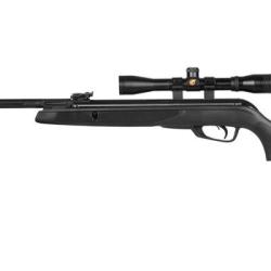 Carabine &agrave; plombs GAMO Black Bear + Lunette 4x32 (19,9 Joules)