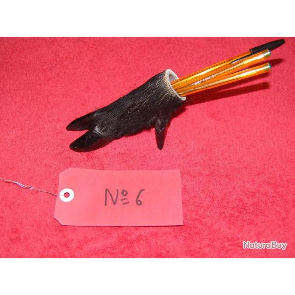 ide cadeau original , patte de sanglier en porte crayons , taxidermiste professionnel (N6)