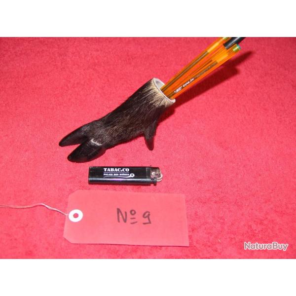 ide cadeau original , patte de sanglier en porte crayons , taxidermiste professionnel (N9)