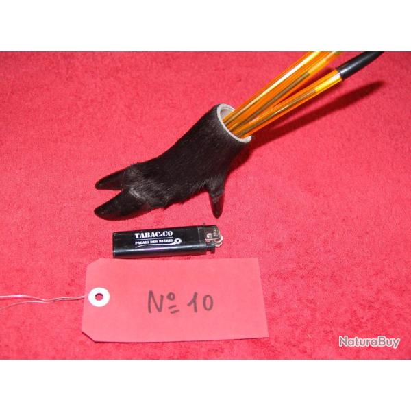 ide cadeau original , patte de sanglier en porte crayons , taxidermiste professionnel (N10)