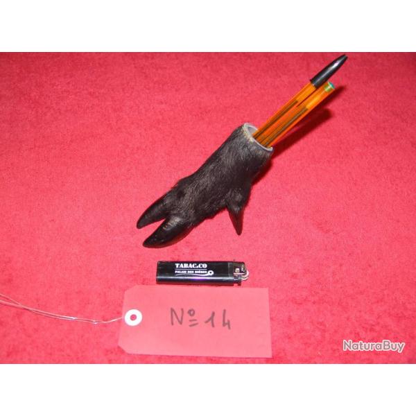 ide cadeau original , patte de sanglier en porte crayons , taxidermiste professionnel (N14)