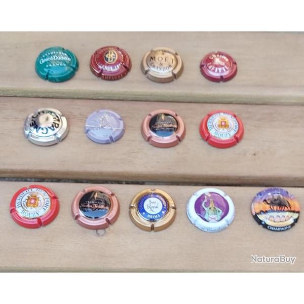 Lot de 13 capsules pour collection et fin connaisseurs.