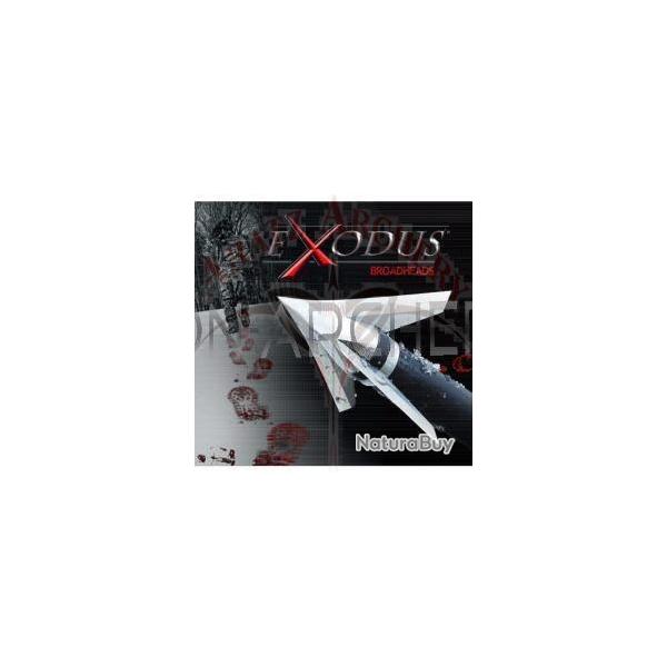 Pointe chasse broadhead � visser QAD Exodus 100gr Swept Blades (par 3)