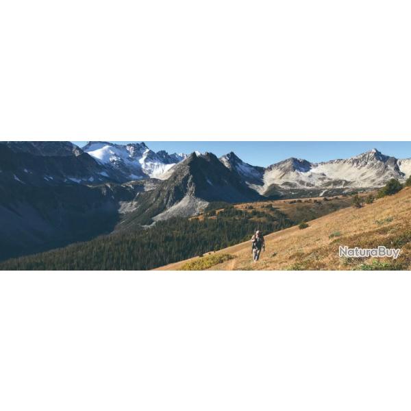 Canada : Chasse de la ch�vre des Rocheuses