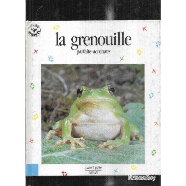 la grenouille parfaite acrobate de paul starosta + la grenouille ariane chottin