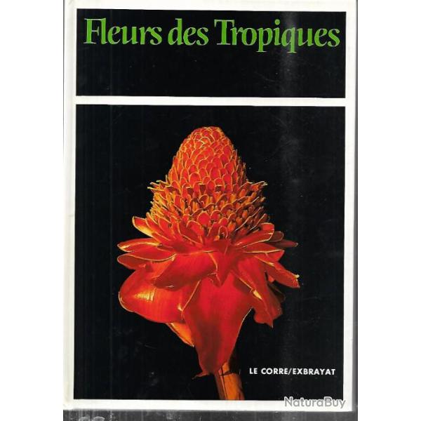 fleurs des tropiques gildas le corre et andr� exbrayat