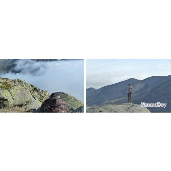 Espagne : Chasse du bouquetin