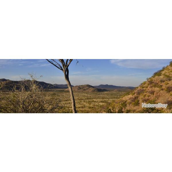 Namibie : Chasse du Grand Gibier African