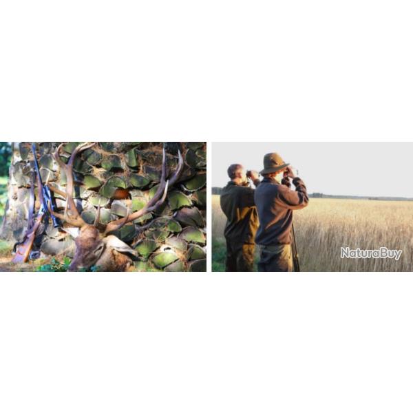 Pologne : Chasse du Cerf au Brame