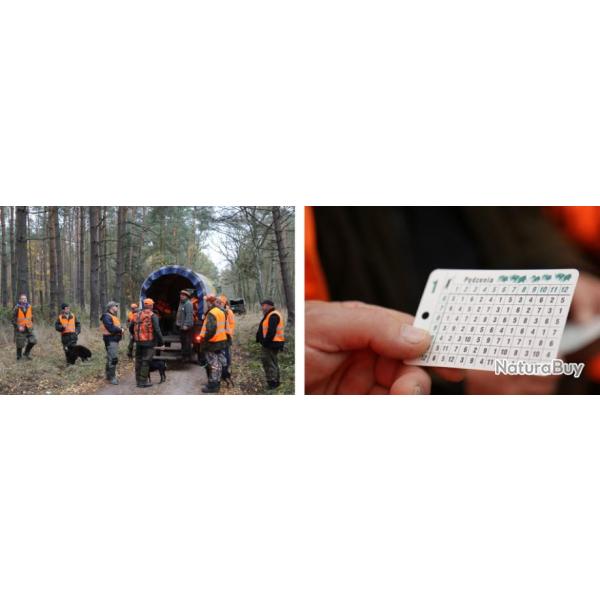 Pologne : Chasse du grand gibier en battue