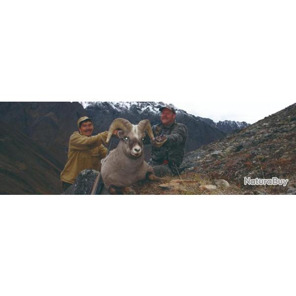 Russie : Chasse du brocard de Siberie