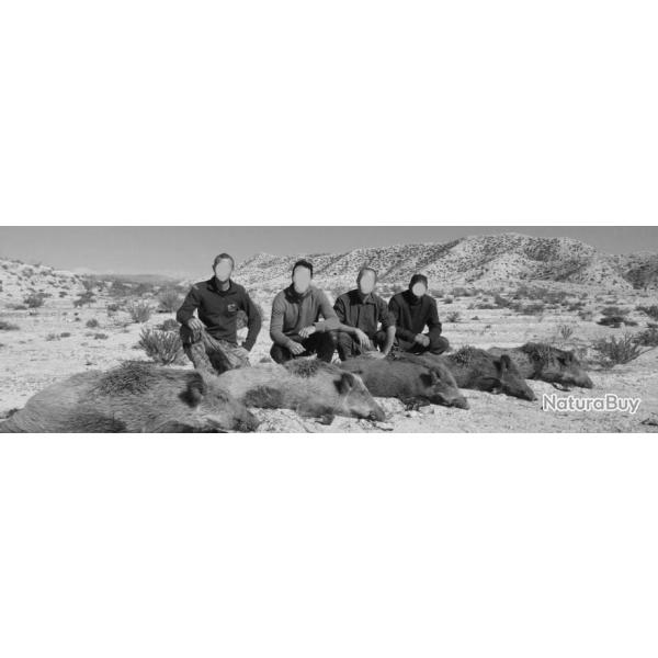 Tunisie : Battue de sangliers