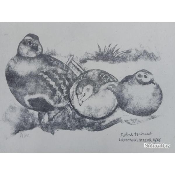 Affiche "Trio De Perdrix Grises" Robert Hainard