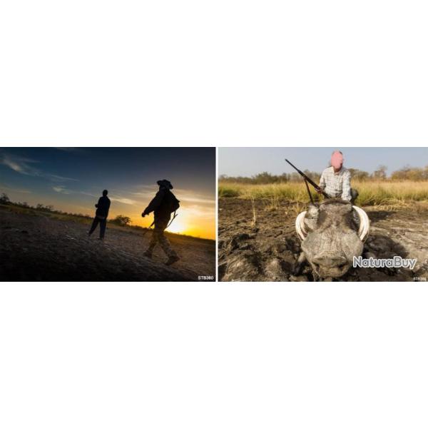 Gambie : Chasse petit gibier africain