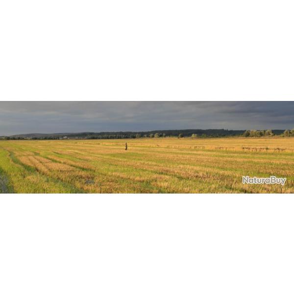 Maroc : Chasse du petit gibier