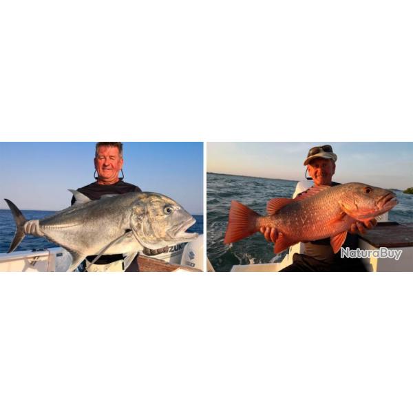 Madagascar : Croisi�re p�che itin�rante � bord d'illusion